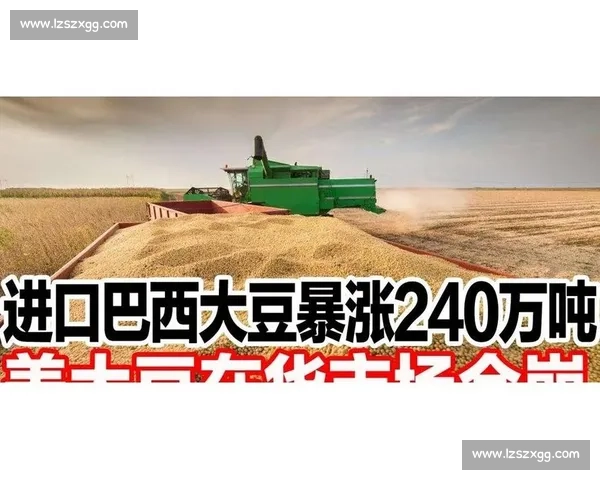 乌拉圭对日本篮球对决聚焦攻防碰撞与战术博弈解析